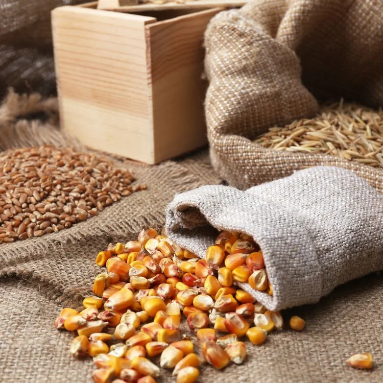Cereals Industry